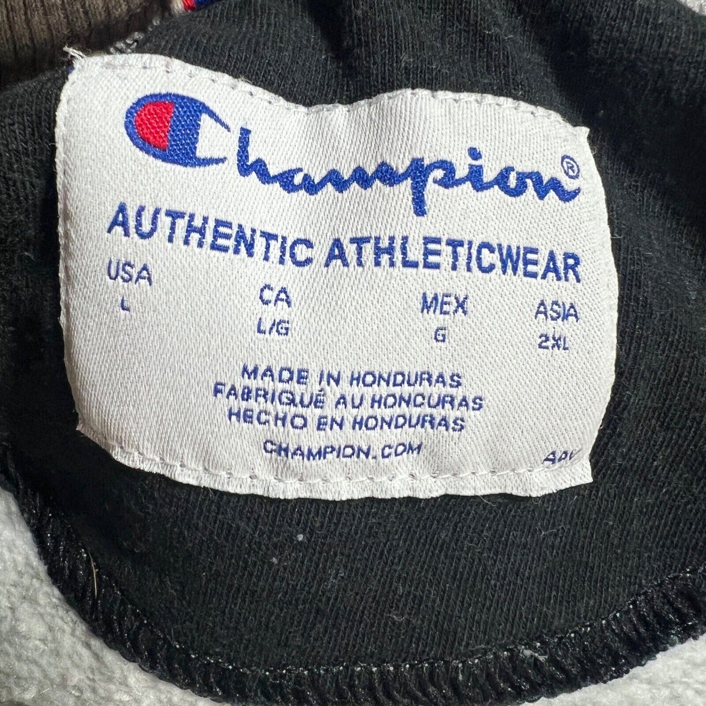 Champion Sweatshirt Men's Size Large Multicolor Long Sleeve Heavyweight Pullover