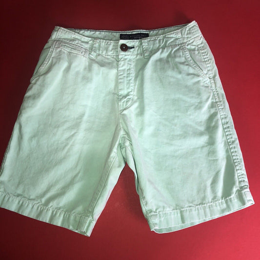 American Eagle Outfitters Classic Shorts Mens Size 30 Color Green 1204300