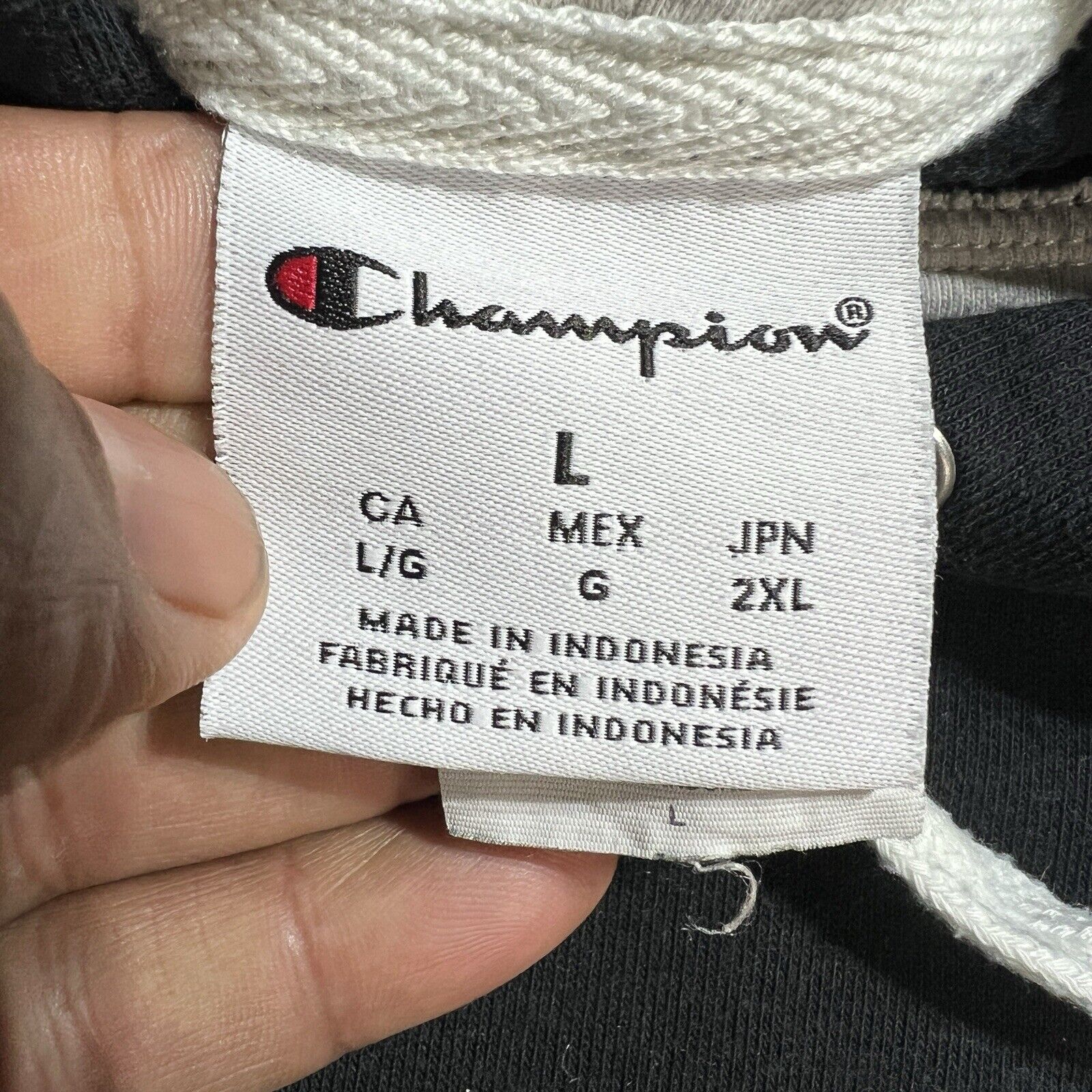 Champion Hoodie Men’s Size Large Black Long Sleeve Pullover
