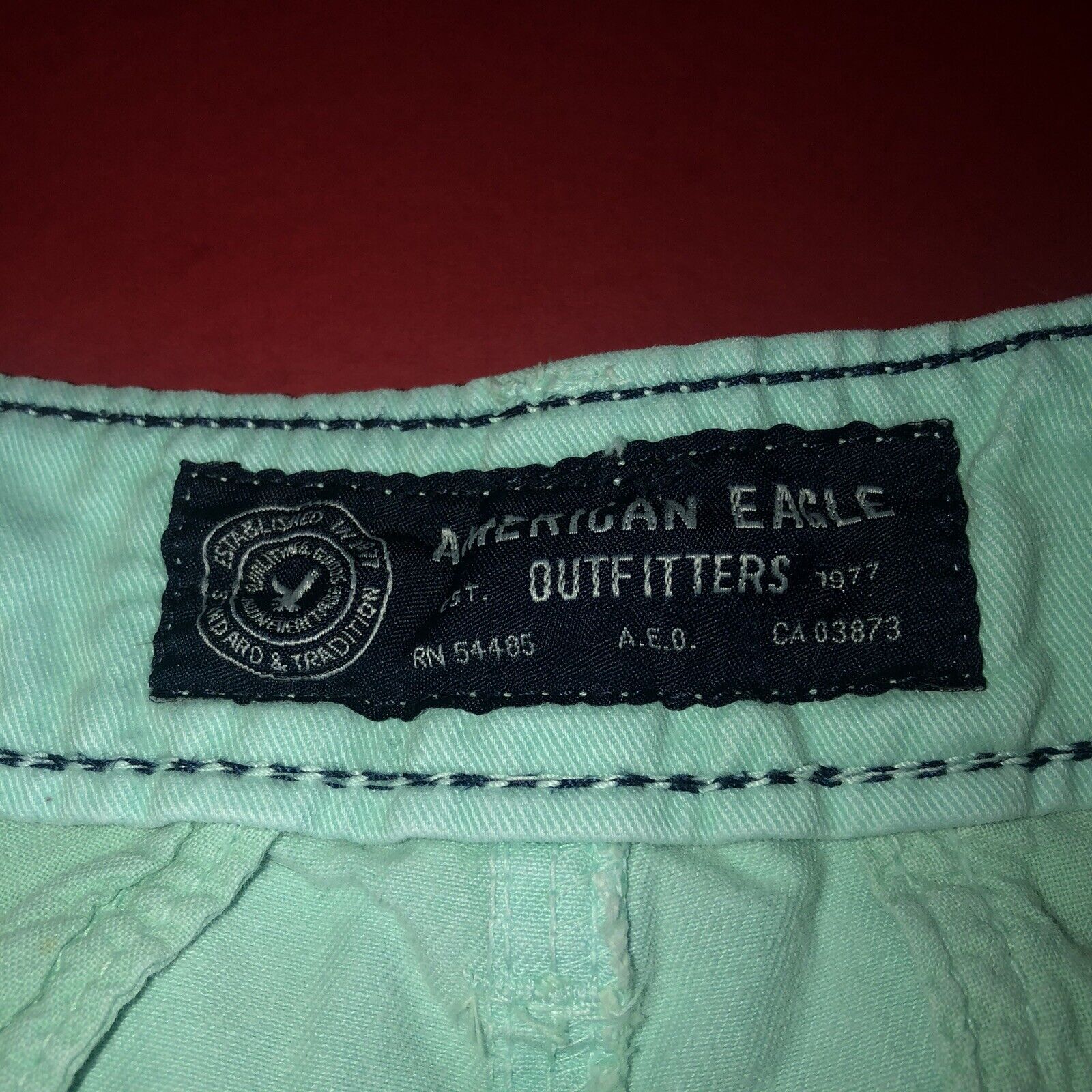 American Eagle Outfitters Classic Shorts Mens Size 30 Color Green 1204300