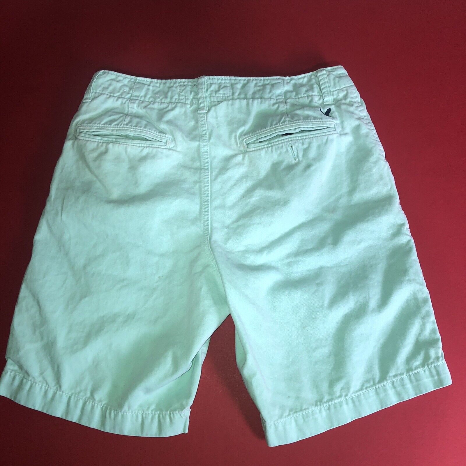 American Eagle Outfitters Classic Shorts Mens Size 30 Color Green 1204300