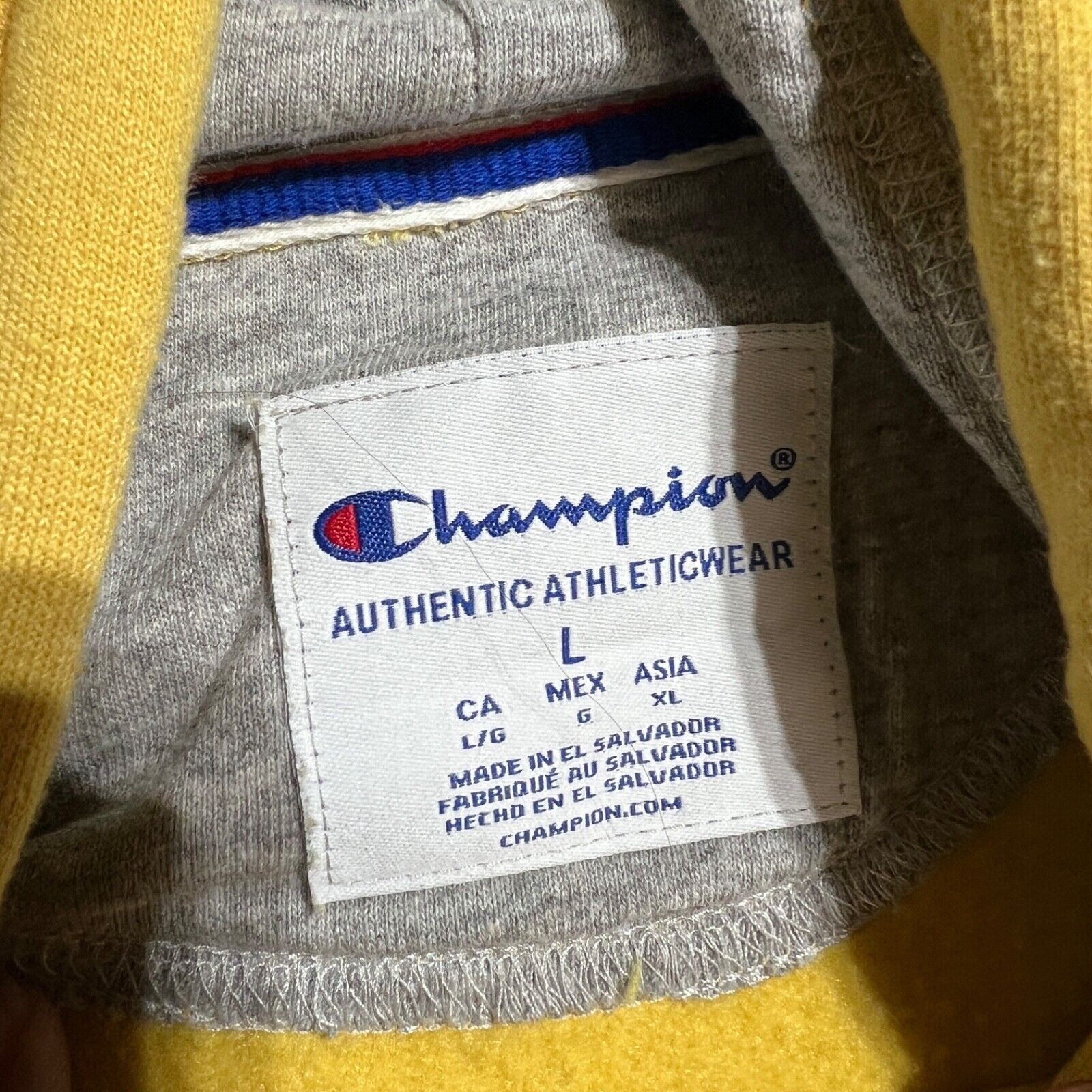 Champion Hoodie Men's Large Multicolor Long Sleeve Sweatshirt