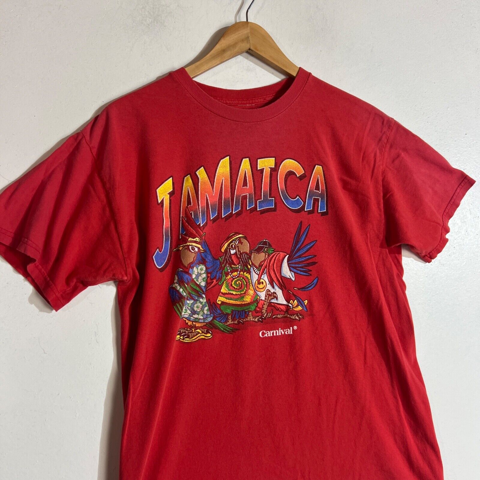 Carnival Jamaica T-Shirt Men's Size Large Multicolor Short Sleeve Pullover